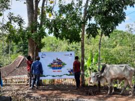 QURBAN YAYASAN DT PEDULI YOGYAKARTA TAHUN 2021